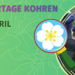 Entdeckertage Kohren-Sahlis zur Kirschblüte